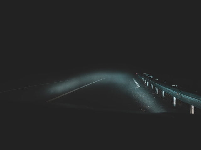 Read more about the article Gør din hund synlig i trafikken