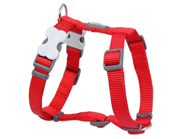 Red Dingo harness, classic red, 25-39cm / 12mm