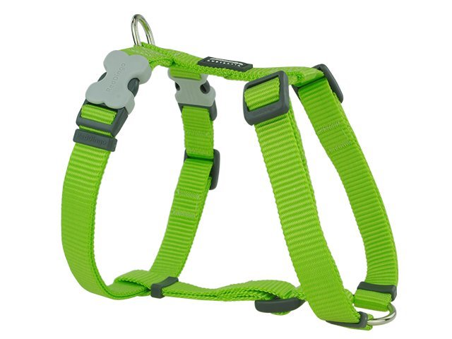 Red Dingo harness, classic lime, 30-48cm / 15mm
