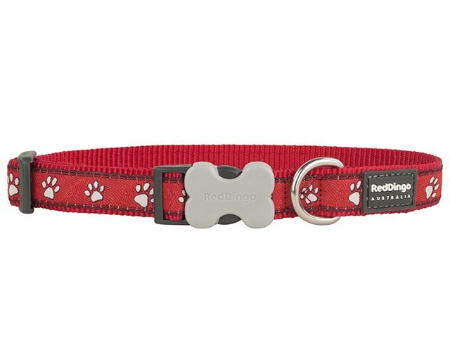 Red Dingo collar, red paws, 24-36cm / 15mm