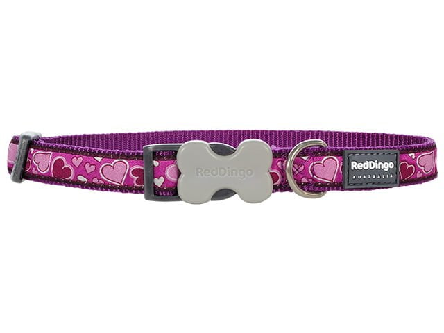 Red Dingo Halsband, b-love lila, 31-47cm/20mm