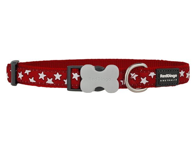 Collare Dingo rosso, stelle bianche, 31-47cm/20mm