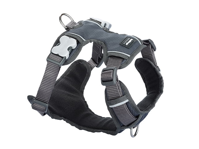 Red Dingo gepolsterter Gurt, grau, L