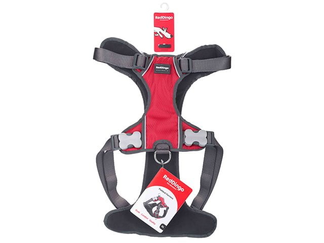 Red Dingo polstret sele, rød