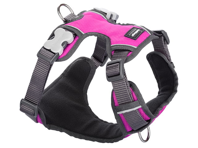 Red Dingo gepolstertes Geschirr, rosa, S