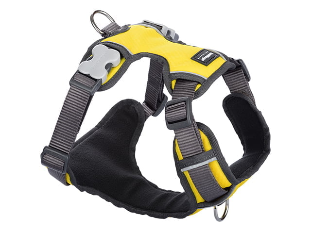 Red Dingo gepolsterter Gurt, gelb, L