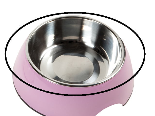 Cheers to Royal, large