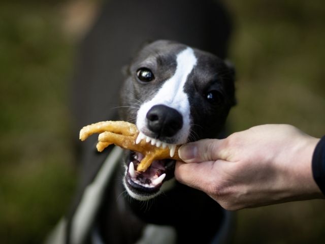 Tikki Kyllingefødder