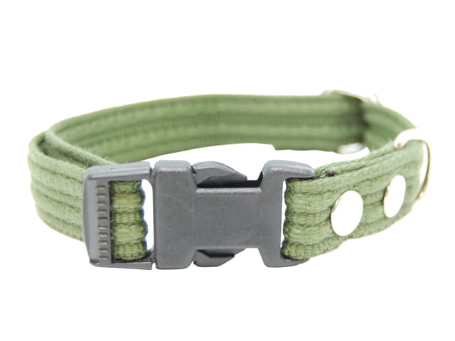 Collare Fenriz, 50-80cm/25mm verde
