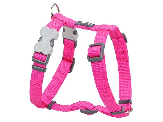 Red Dingo sele, classic hot pink