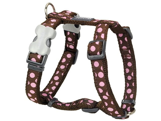 Red Dingo sele, pink spot