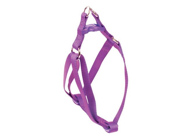 NYC Basic sele, lilla