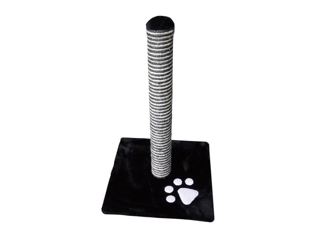 Savannah kradsestamme, sort