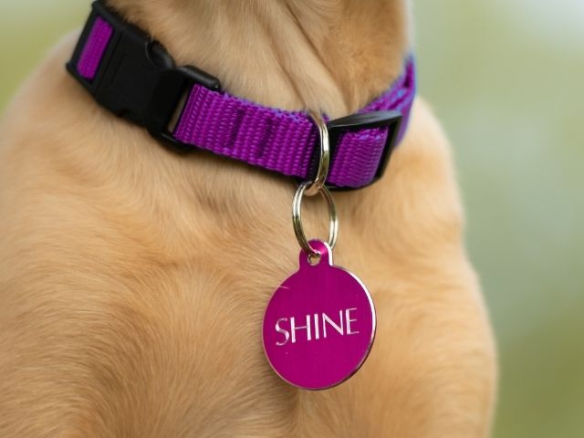 iMARC Cirkel Hi-Line pink