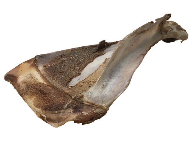 Tikki hjorte skulderblad