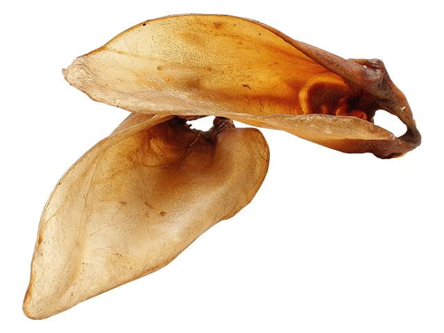 Tikki okseører med muskel