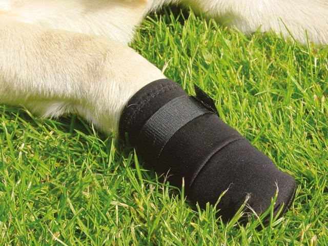 Neoprenschuhe, klein, 2 Stk.