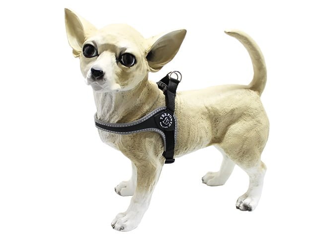 TRE PONTI Mini Sele med justering, sort