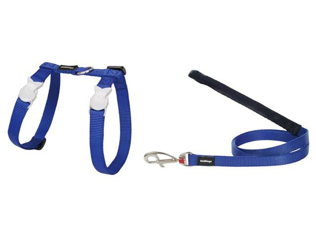 Red Dingo kattesele+line, blå