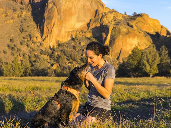 Read more about the article The perfect dog harness