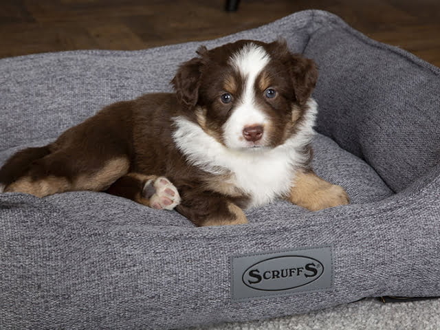 Scruffs Manhattan seng, grå