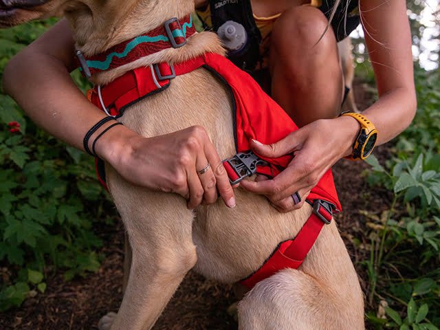 Ruffwear Switchbak™ Sele, Red Sumac