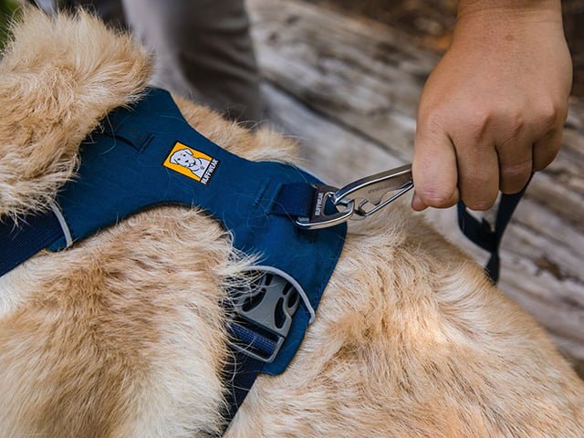 Ruffwear Front Range Sele, Blue Moon