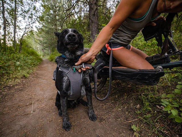 Ruffwear Roamer førerline, Granite