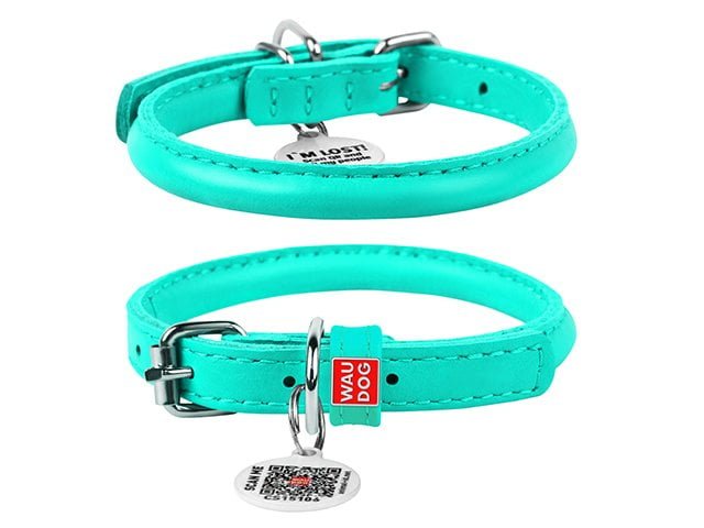 Waudog rundsyet læder halsbånd, mint
