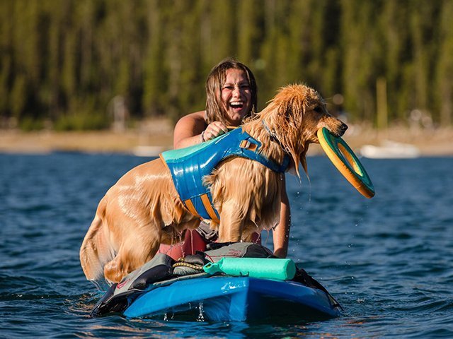 Ruffwear Float Coat, Blue Dusk