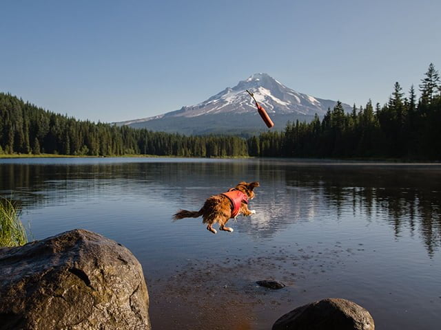 Ruffwear Float Coat, Red Sumac