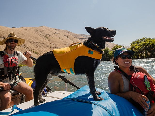 Ruffwear Float Coat, Wave Orange