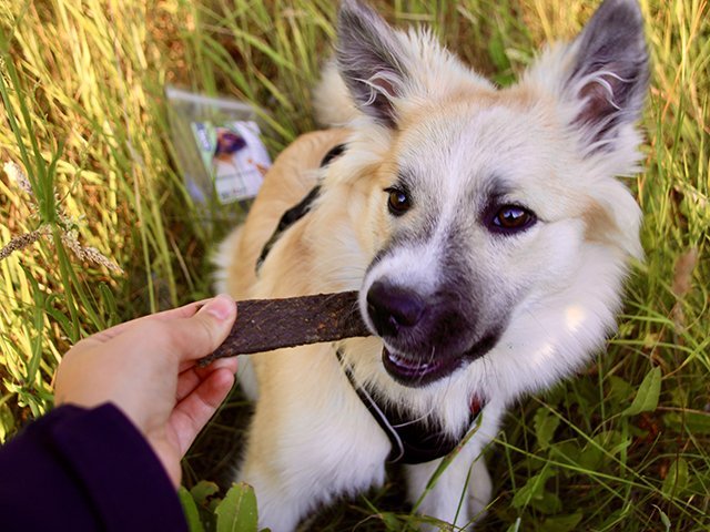 Tikki Meatstrips med hest, 100g