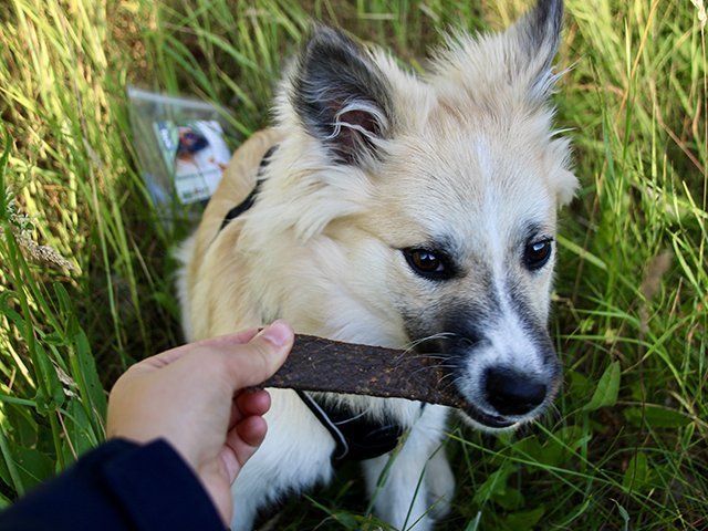 Tikki Meatstrips med kanin, 100g