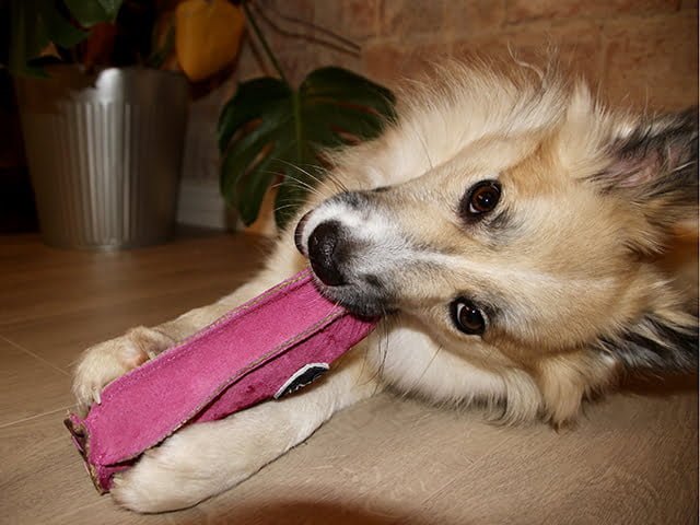 Green & Wilds Peggy the Pig