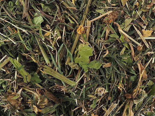 Nature Land BOTANICAL urter med blå blomster, 125g