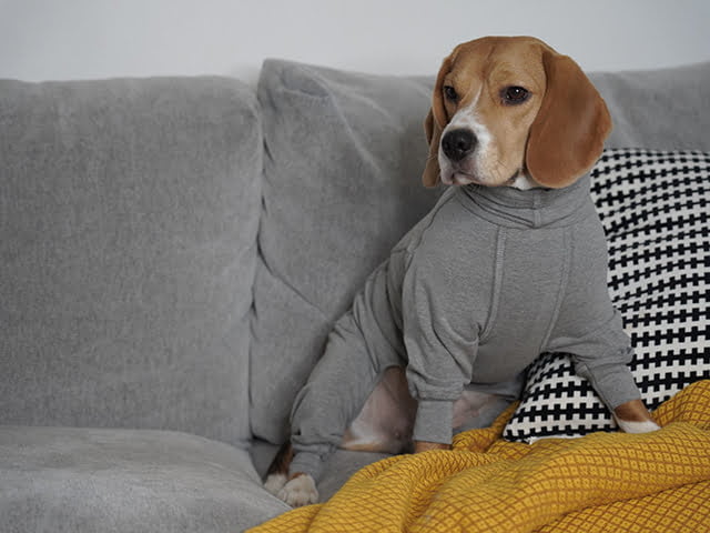 1048010_1 PAIKKA_Recovery_Overall_1