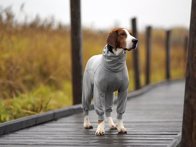 1048018_1 PAIKKA_Recovery_Overall_grey_1