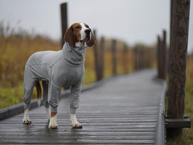 1048018_2 PAIKKA_Recovery_Overall_grey_2