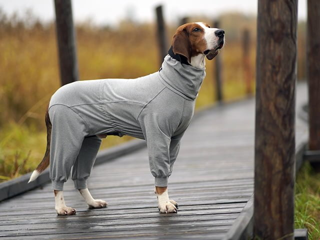 1048018_3 PAIKKA_Recovery_Overall_grey_3