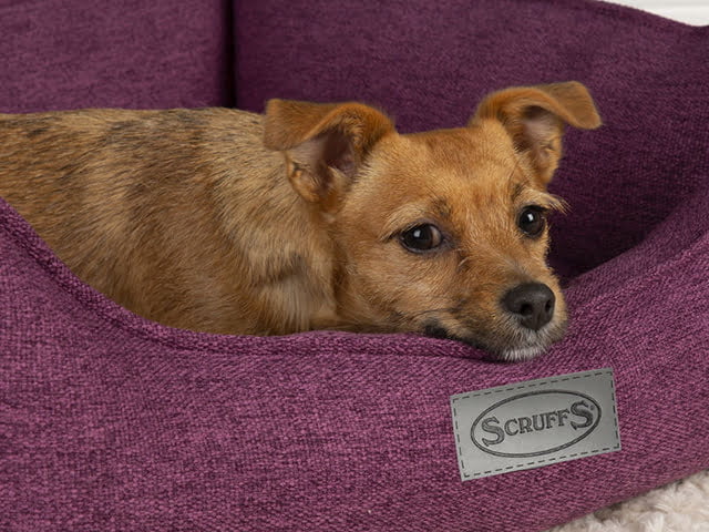 Scruffs Manhattan seng, berry