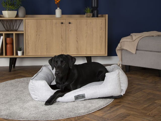 Scruffs Manhattan seng, lysegrå