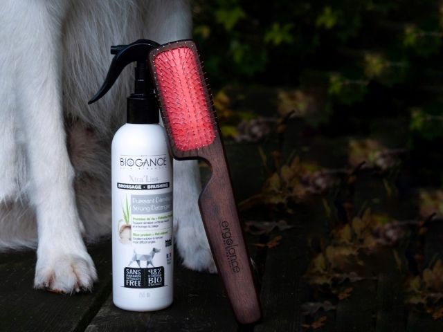 Biogance Ergolance Detangling wooden brush