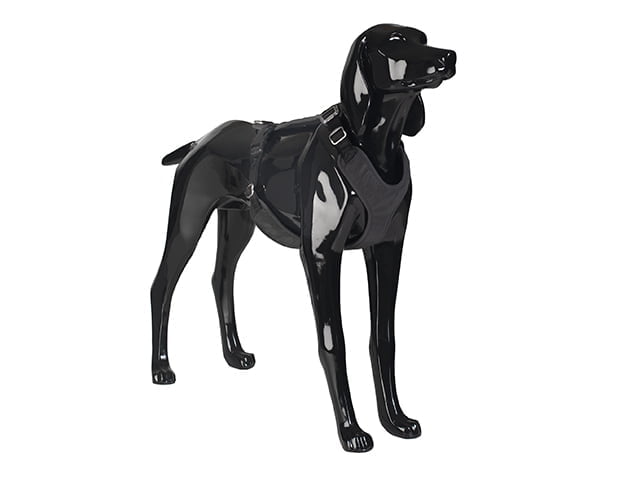 Paikka Visibility sele, mørk