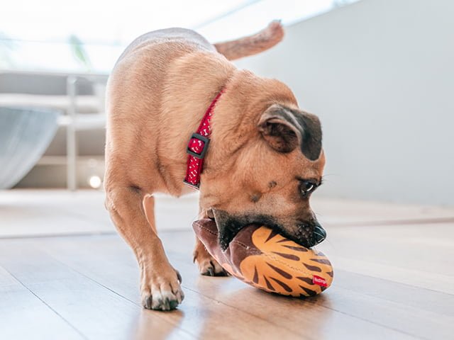 Red Dingo Durables Myrepindsvin, 23,5cm