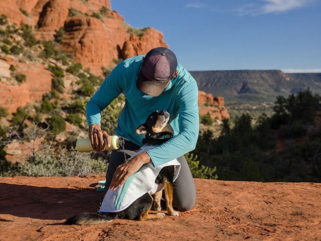 Ruffwear Swamp Cooler Vest, Sage Green