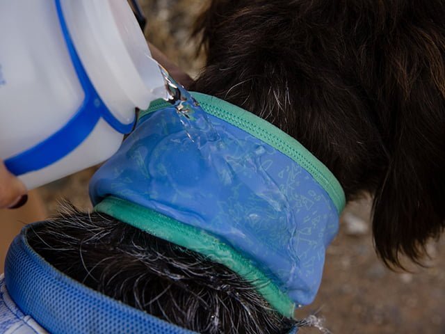 Ruffwear Swamp Cooler Neck Gaiter, Aurora Teal/Heliotrope Purple