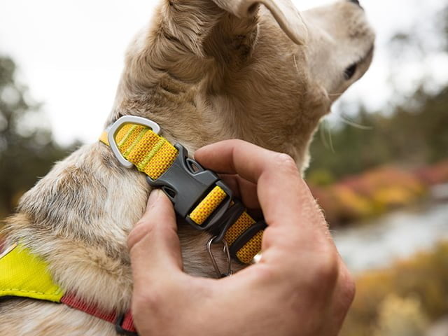 Ruffwear Hi & Light halsbånd, Lichen Green