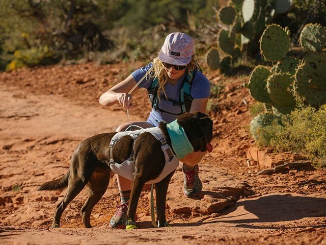 Ruffwear Swamp Cooler Harness, Graphite Gray