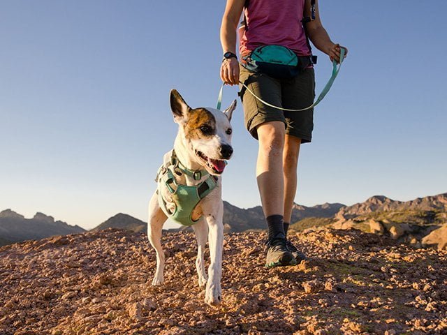 Ruffwear Swamp Cooler Harness, Sage Green